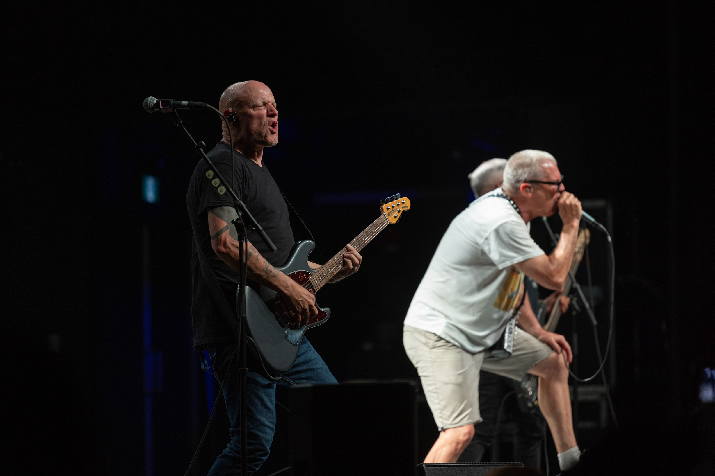 Descendents