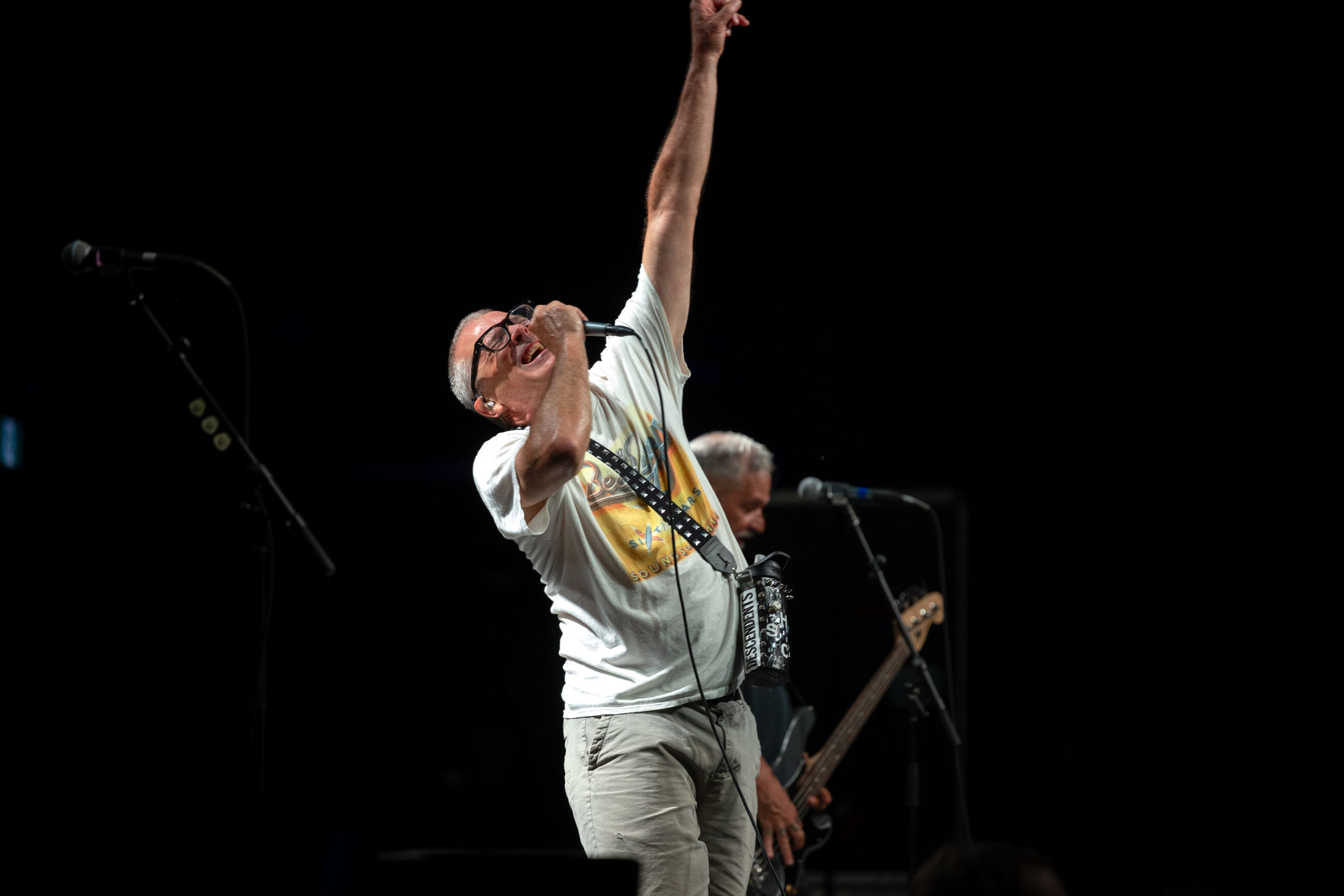 Descendents