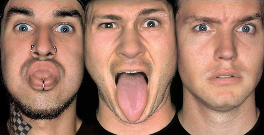 Blink 182 DPS Chart Magazine